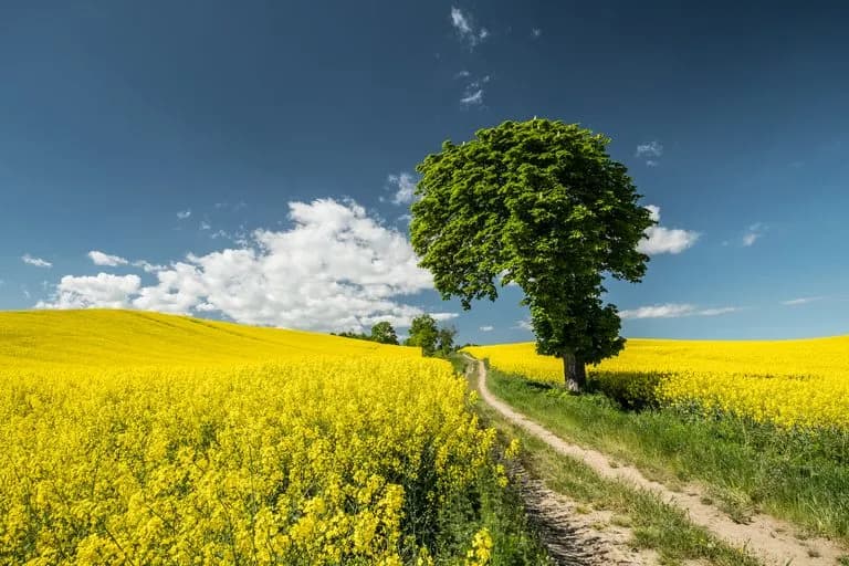 Co kształtuje klimat w Europie? Kluczowe czynniki, które musisz znać